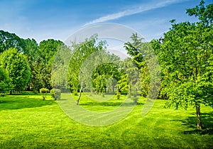 A backyard and garden with manu trees and grass on lawn