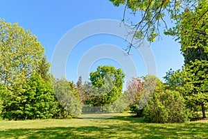 Backyard and garden with manu trees and grass on lawn