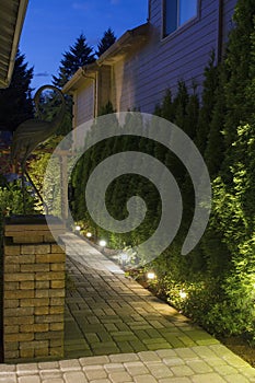 Backyard Garden Path at Night