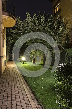 Backyard Garden Path at Night