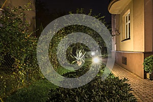 Backyard Garden Path at Night