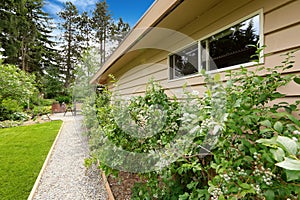 Backyard with gravel walkway and bushes alongside