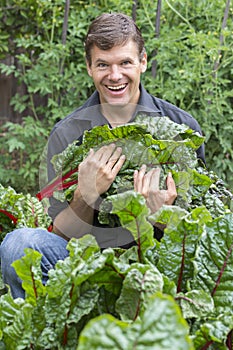 Backyard harvest