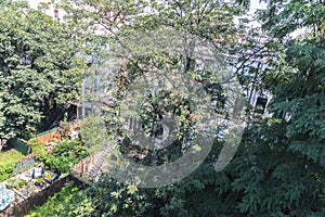 Backyard of houses in Harlem, in New York City, USA