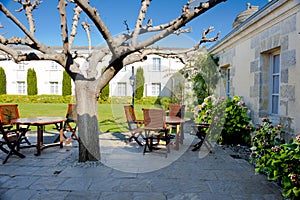 Patio and blooming hortensias, hydrangea, Chateau Cordeillan-Bages, Bordeaux, France