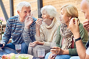 Backyard Party of Aged Friends