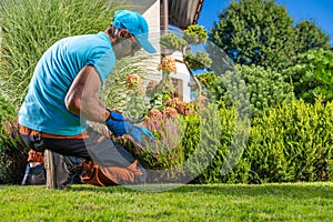 Backyard Plants Maintenance Performed by Professional Garden Worker photo