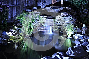 Backyard pond