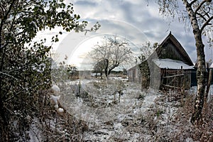 Backyard rustic old hut