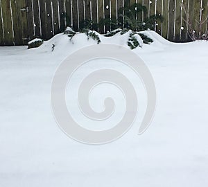 Blanket of undisturbed snow photo