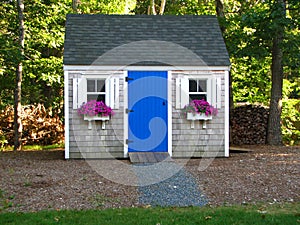 Backyard shed