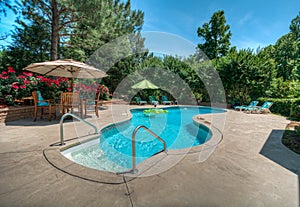 Backyard swimming pool.