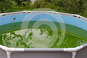 A backyard swimming pool has turned green with algea and dirt and is in need of chlorine treatment. Green water in dirty