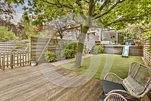 a backyard with a tree and lawn and chairs