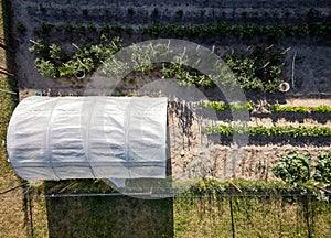 Backyard vegetable garden in Poland
