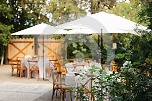 Backyard wedding reception - round tables with white tablecloths, vintage lanterns, roses and hyacinth,  and bentwood chairs