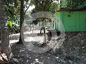 Backyards of village farm house