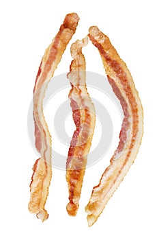 Bacon
