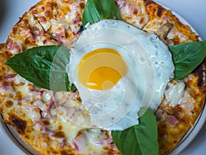 Bacon cheese pizza with basil and egg on top