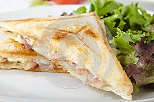 Bacon & Cheese Toastie photo