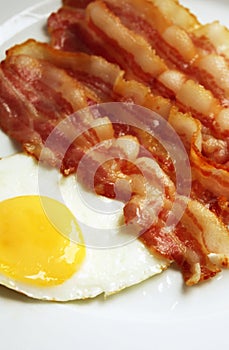 Bacon and eggs photo