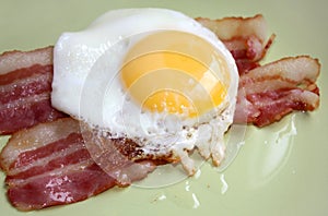 Bacon and eggs photo
