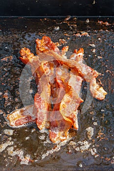 Bacon frying in grease on an outdoor camping grill