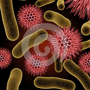 Bacteria