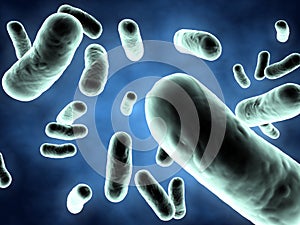 Bacteria - 3d render illustration