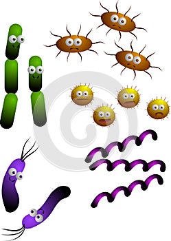 Bakterien 