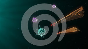 Bacteria attacking the immune system