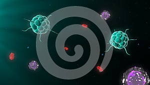 Bacteria attacking the immune system