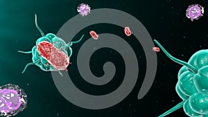 Bacteria attacking the immune system