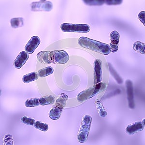 Bacteria Bacteroides, 3D illustration