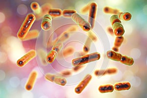 Bacteria Bacteroides fragilis, the major component of normal microbiome of human intestine photo