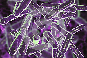 Bacteria Bifidobacterium, gram-positive anaerobic rod-shaped bacteria