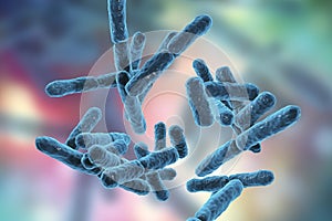 Bacteria Bifidobacterium, gram-positive anaerobic rod-shaped bacteria