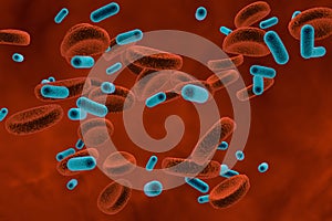 Bacteria in blood, bacteriemia