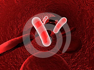 Bacteria in blood, bacteriemia