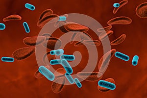 Bacteria in blood, bacteriemia