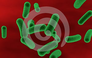 Bacteria in blood, bacteriemia photo