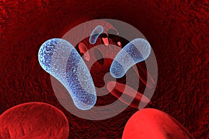 Bacteria in blood, bacteriemia