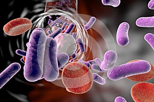 Bacteria in blood, bacteriemia