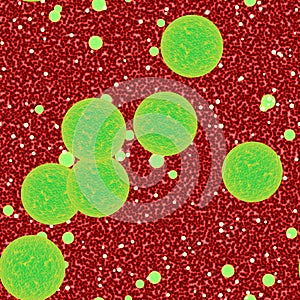 Bacteria Blood Infection or bacterial sepsis as a medical illustration