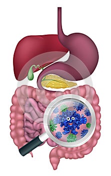 Bacteria Cartoon Mascot in Gut or Intestines
