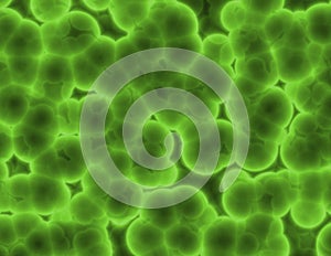 Bacteria Cell Cluster Abstract