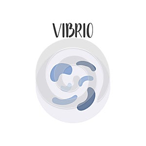 Vibrio. Bacteria classification. Spiral shapes of bacteria. Morphology. Microbiology. photo