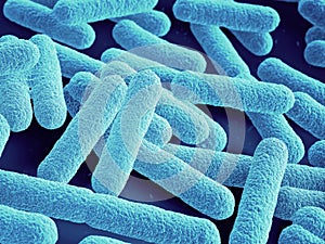 Bacteria close up. Escherichia coli photo