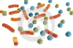 Bacteria of different shapes isolated on white background