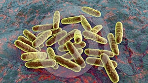 Bacteria Eikenella, illustration